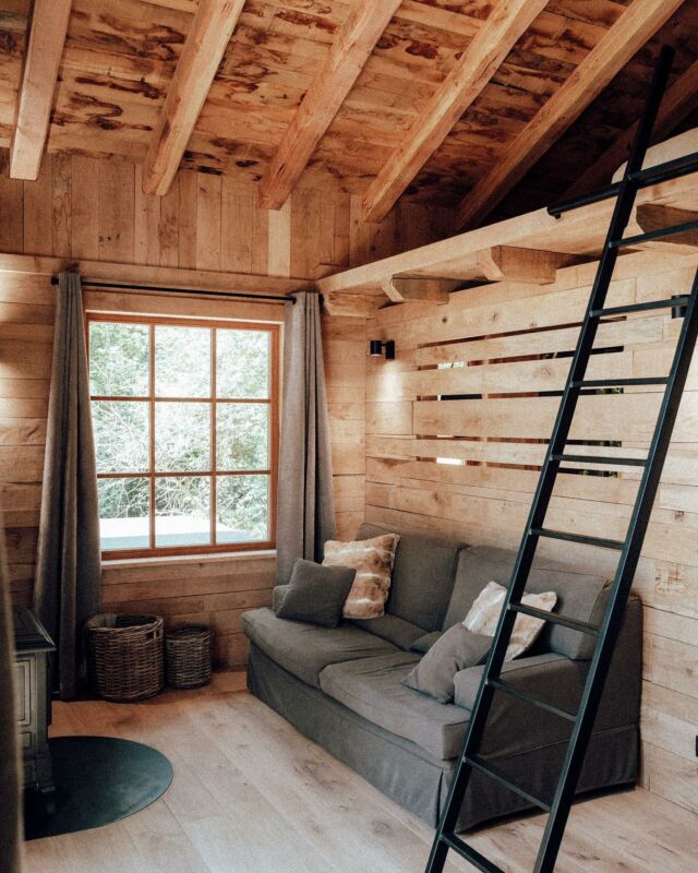 Cozy interior
