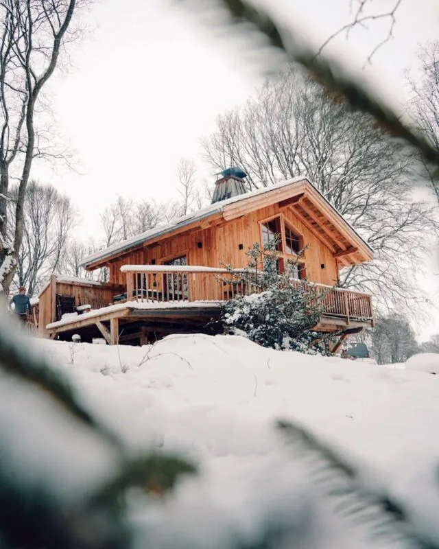 Snowy view