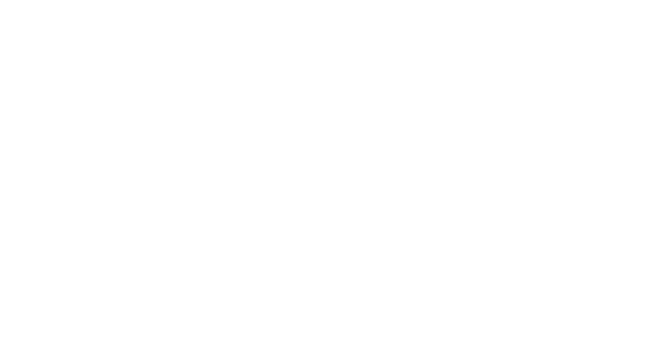 The Woodpecker